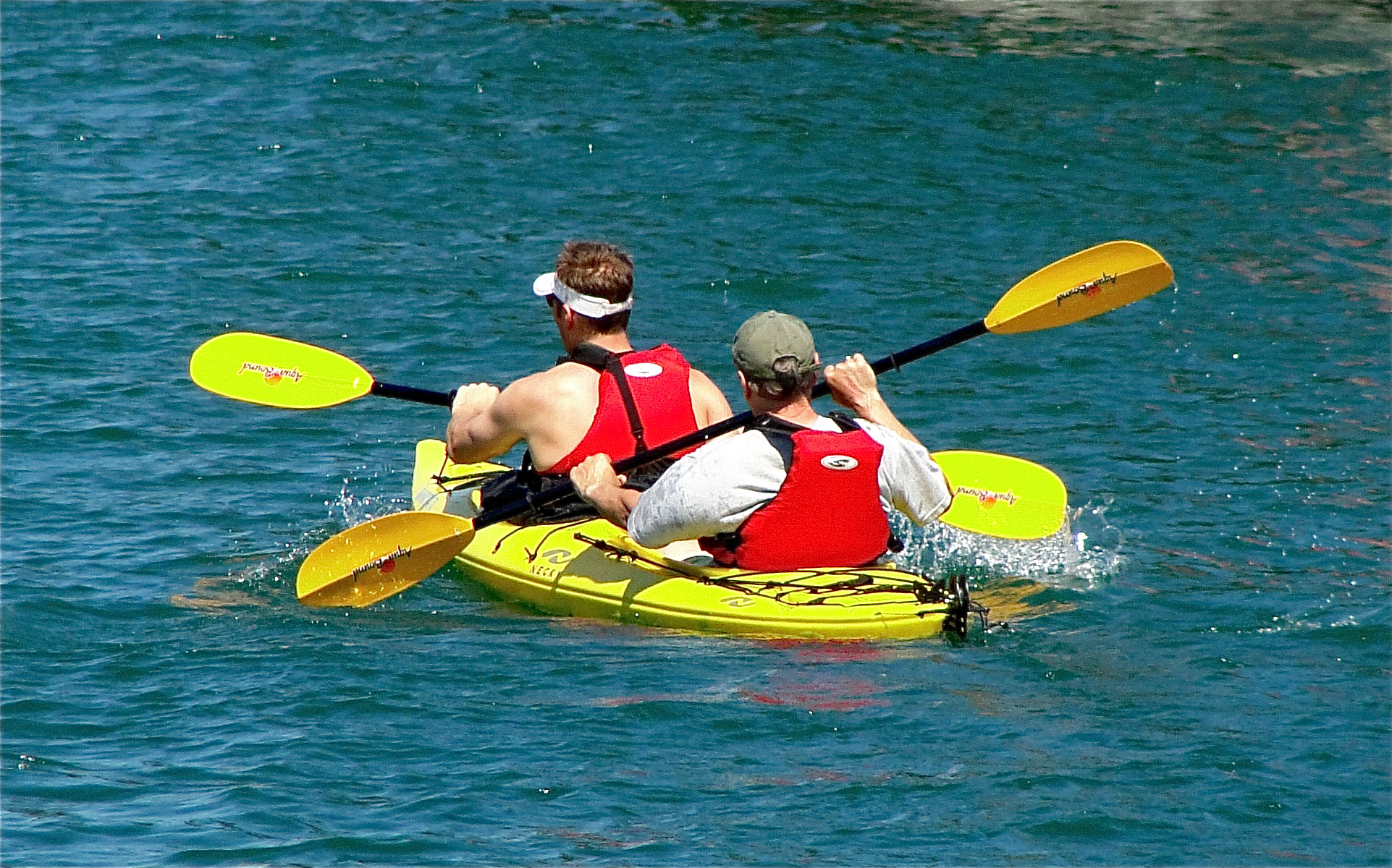 Sea kayakers paddling on calm water