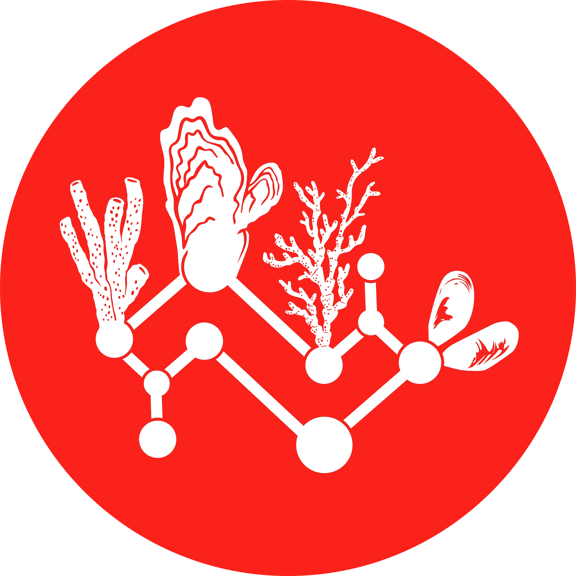 GRoW Oyster Reefs